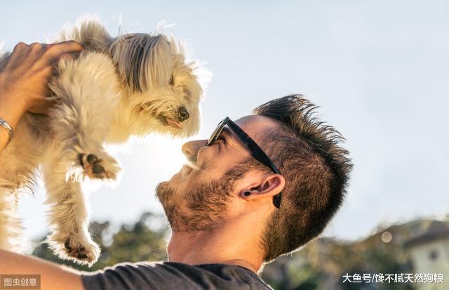 如果狗狗有这4个特征，那么恭喜你，它很旺你