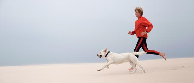 主人总怕狗狗饿得慌，结果把狗狗喂成球？胖狗狗其实很痛苦