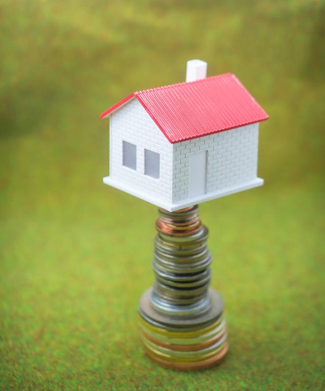 贷款买房银行不放款？过来人直言：记住“三不写”，买房将更容易