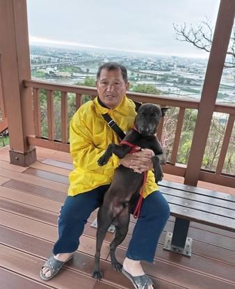 狗狗倒地翻白眼，主人崩溃以为被毒杀，下一秒被狗狗动作惹生气