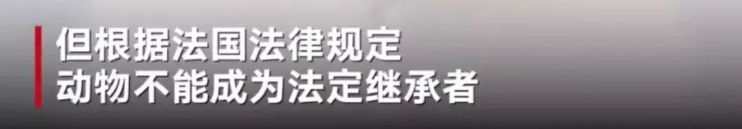 老佛爷走后，他的13亿遗产，竟要留给了它！