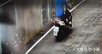 6只小狗当垃圾扔，袋子打死结，狗眼都没开你怎么忍心！