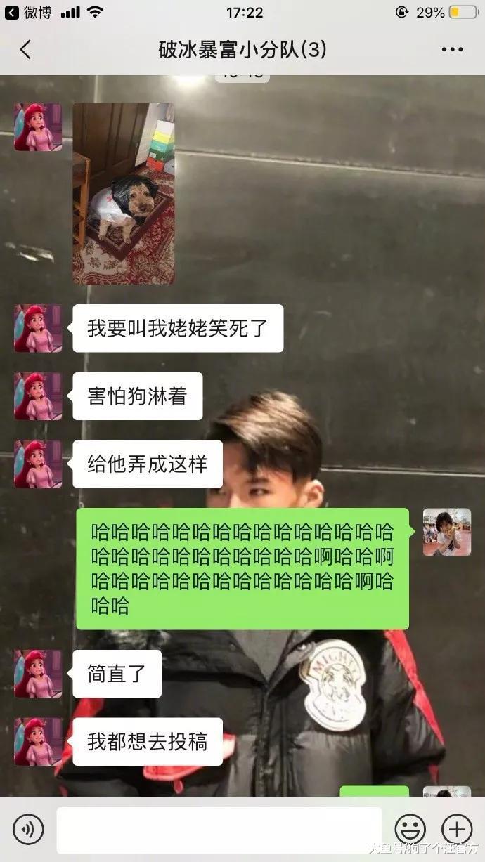 姥姥怕狗淋到雨，给整成这样，这也太好笑了