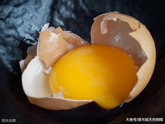 你以为喂食巴哥犬这6种食物，巴哥犬会健康，但其实在给它折寿！