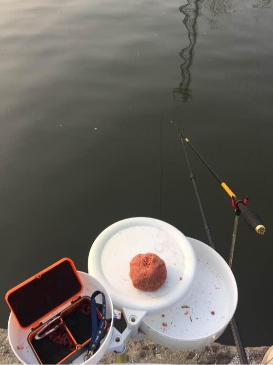 老渔翁说漏嘴，钓鱼就用这小玩意！一次放几滴，鱼获猛增10倍