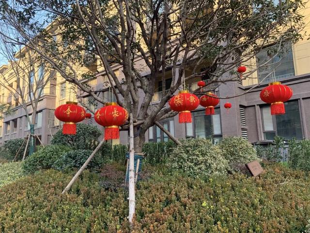 海博·长安府｜“家”期已至，恭迎业主回家，悦启美好新篇