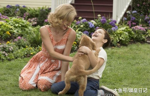 养狗的感悟：尽管有种种不好，可只因这一条，我就愿陪它走到最后