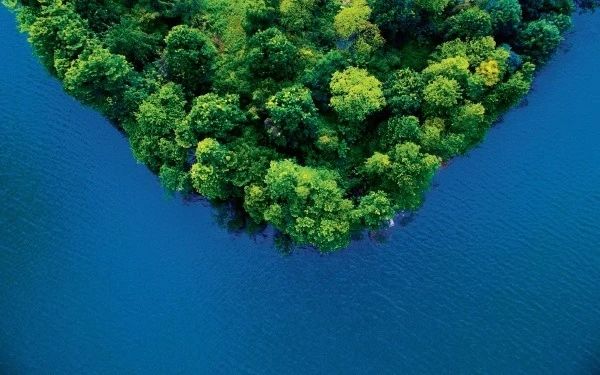 他在这里找到了归属感，从此在深圳风生水起