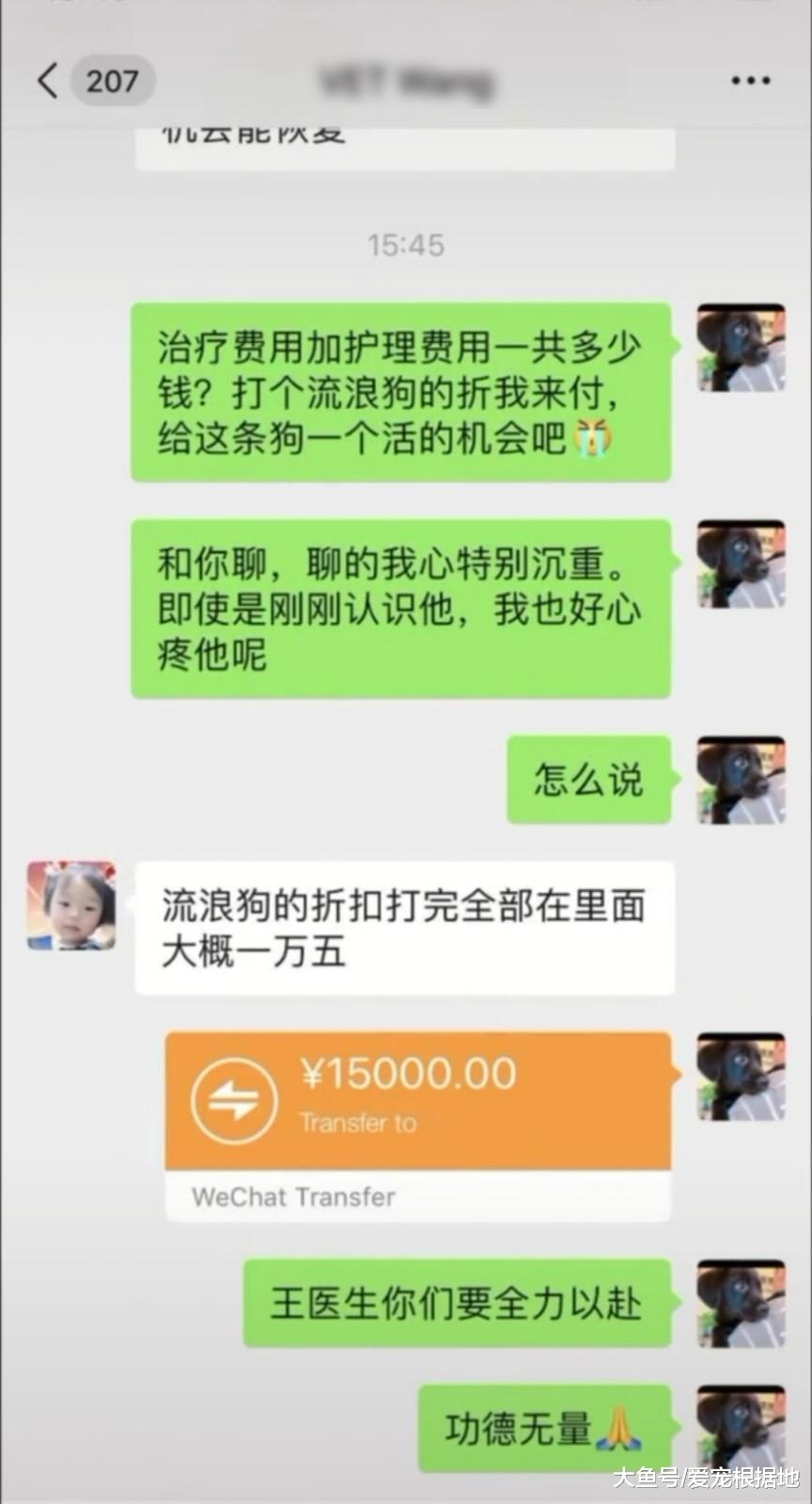 狗狗被车撞后，主人考虑20分钟后将后遗弃，好心人花万元救狗