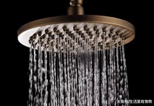 冬天几天洗一次澡? 医学博士这样解释, 你洗澡的频率可能害了你!