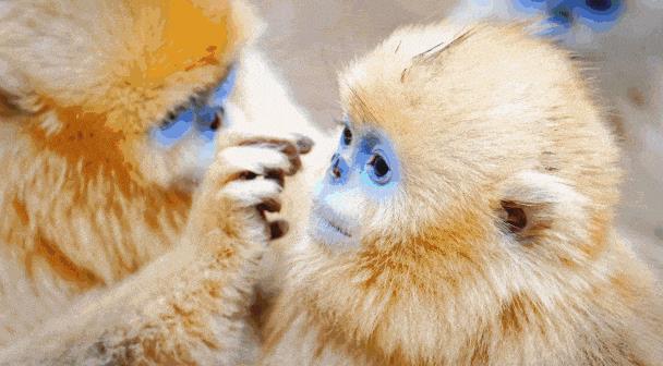 2019年西安年·最中国，适合游玩拍照的几个地方