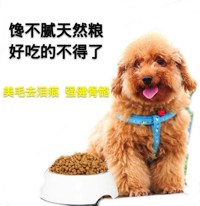 养狗久了就会有这5大“后遗症”，我全中招了，你中了几个？