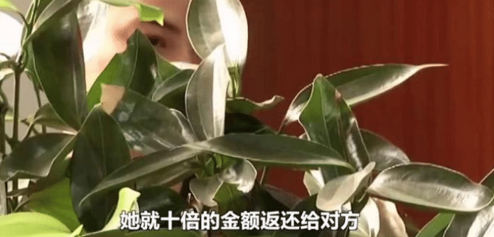 一男生被人騙了千元不甘心，炮制類似騙局半個月內騙了120萬