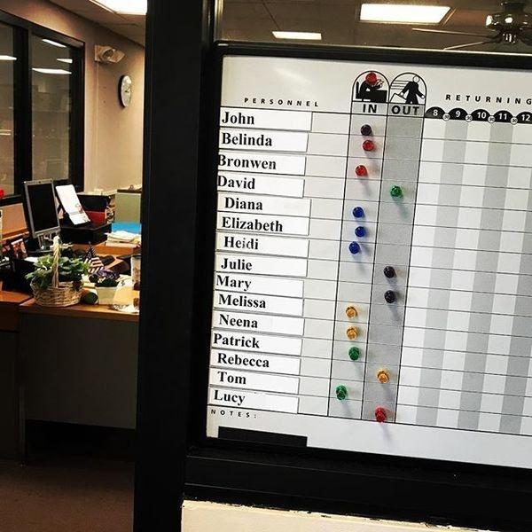 大学聘请新图书管理员, 只卖萌不干活, 猫咪管理员吸引学生多读书