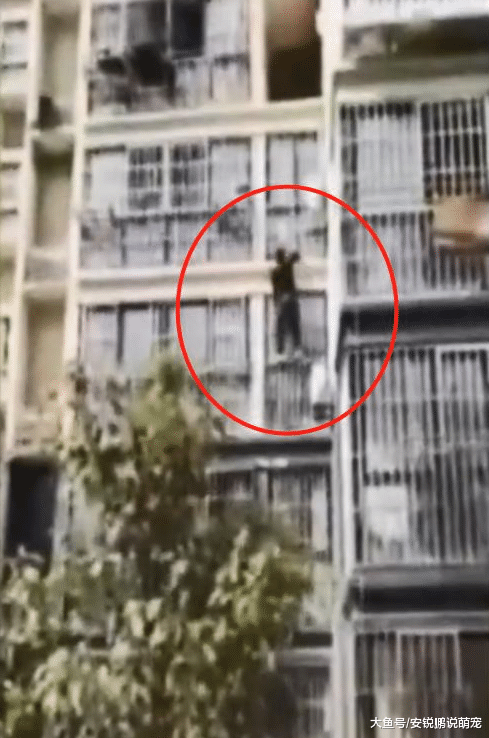 居民楼上下都着火，邻居秒变“蜘蛛侠”徒手爬楼灭火，网友：中国好邻居！