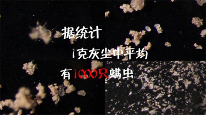 枕头5天不洗螨虫成窝，教你一土办法，一辈子都不会生螨虫！