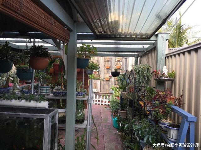 邻居不要的旧晾衣架，捡回家改成挡雨棚，装在院子里再合适不过了