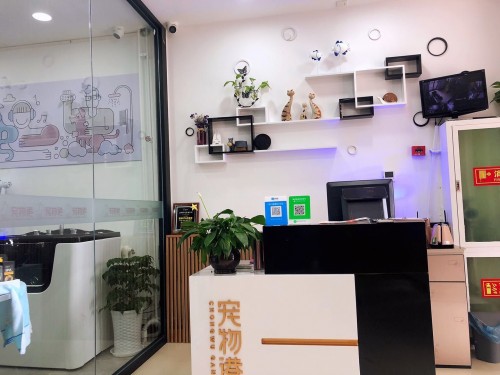 宠物港连锁加盟：如何经营好一家宠物店