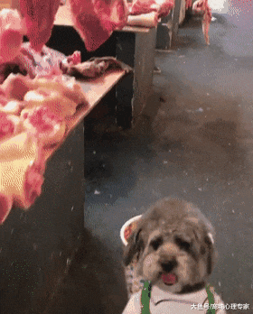 女子买菜发现小孩背着篓筐，以为是在虐童，正要理论却笑出了声