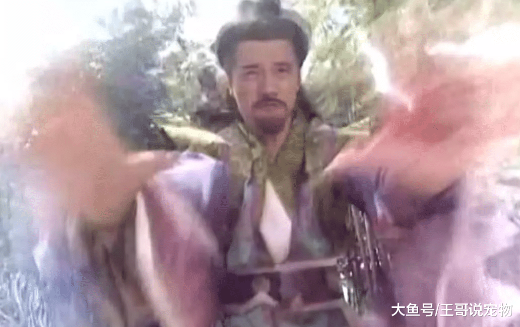 武侠剧中六大智慧型反派，贝海石垫底，雄霸排第二，第一天下无敌