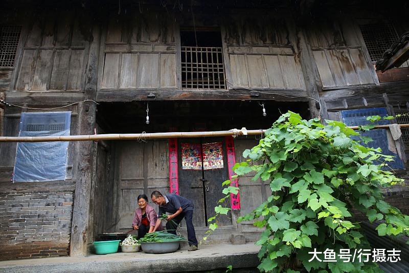 大山里的“豪宅”，共有100多间房子，如今“后辈”用来养猪