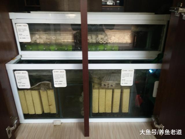 这个小下滤鱼缸的过滤原理就这么简单？是的，就这么简单
