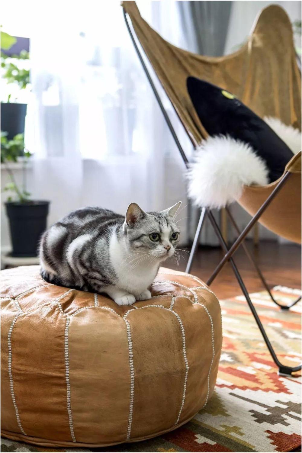 165㎡北欧装修, 看一眼就不舍得走了, 美得让人流连忘返!