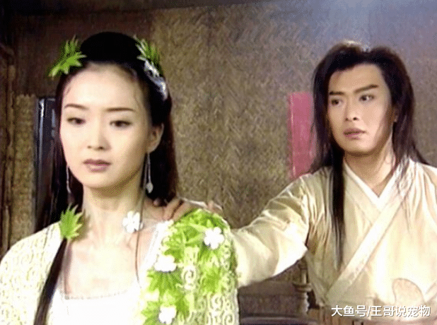 4部“不敢”翻拍的古装剧，原因是古装美女难以超越？