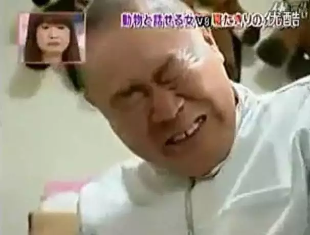 狗狗即将离世，有人翻译出了狗狗的遗言，眼泪控住不住了------