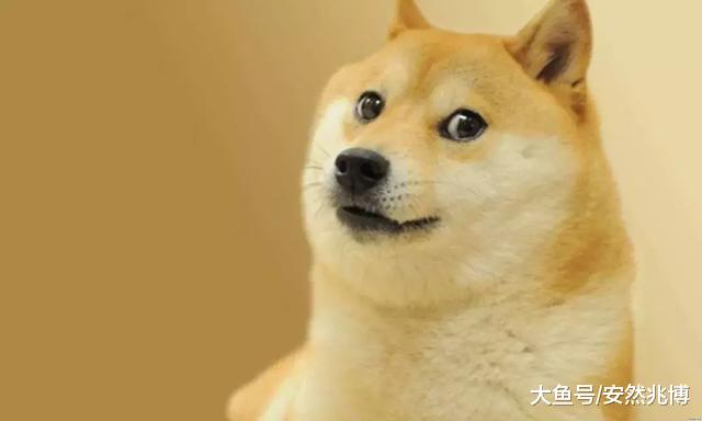 知道为啥被叫单身狗不？给你的情人节一万点暴击