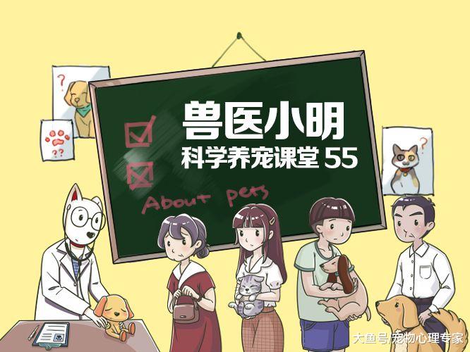 喂狗喝酒问题不大？别想当然，不要拿它们的生命开玩笑