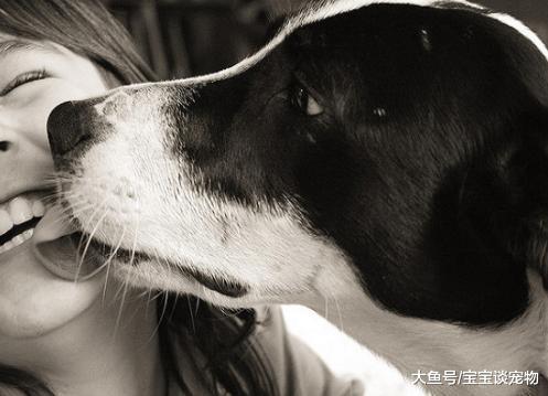 狗狗舔这五个地方，其实是有事要告诉你！