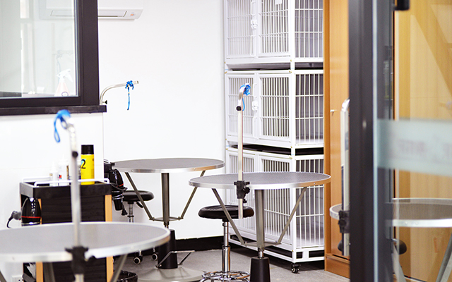 2019年加盟选什么 宠物港加盟为何如此火爆