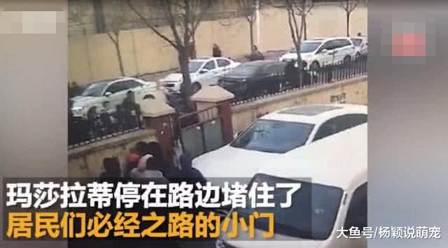 小区必经之路被豪车堵住，大爷上去就是一板砖，网友：你大爷还是你大爷