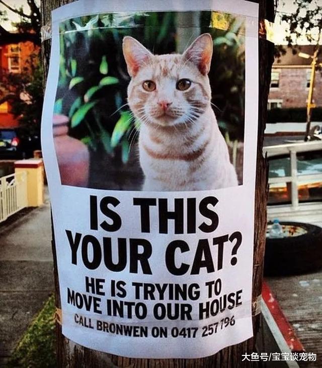 让人细思极恐的图片，到底当时发生了什么？