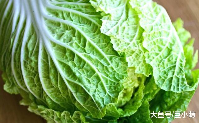 卷心菜是减肥神器，可以给狗狗吃吗？关于狗狗吃卷心菜的那些事