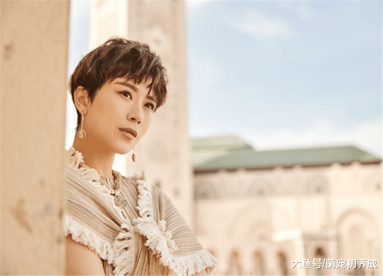 中年女演员无戏可拍？原因是太挑剔还是无人敢收？