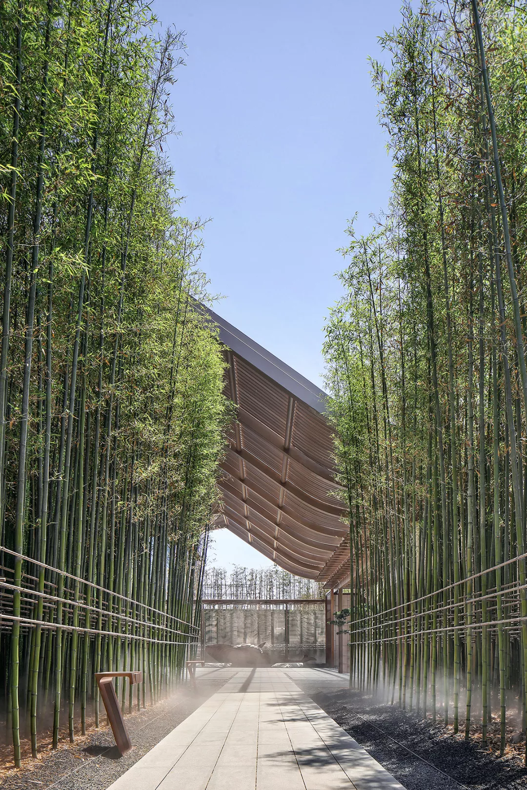 以水定鲲，寻鲲踪迹丨苏州中海·青剑湖上园湾