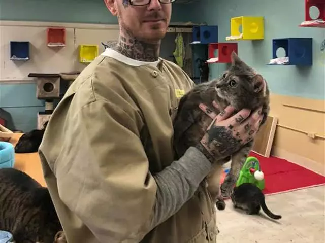 猫咪被派去感化囚徒，本以为会遭遇风险，不想众恶人都成了猫奴