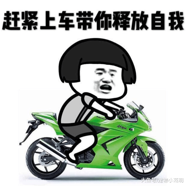 中国人发明了100多年的裤子，现在在国外被抢着买！