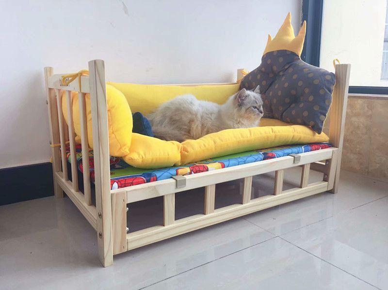 小主人考试复习很忙, 宠物猫咪却在旁边捣乱