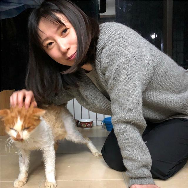 好心人救助受伤橘猫后，猫咪选择留下报恩，铲屎官喜提噬元兽！