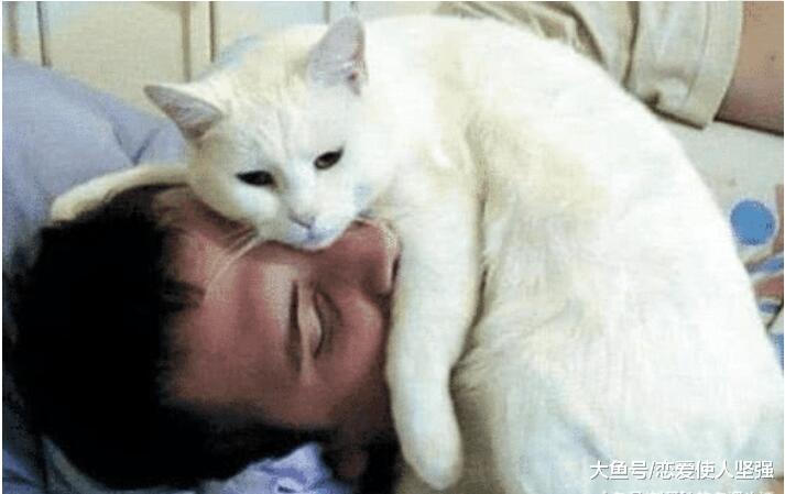 猫咪为啥喜欢在你睡着之后跑到你边上躺着呢？原因竟是如此可爱！