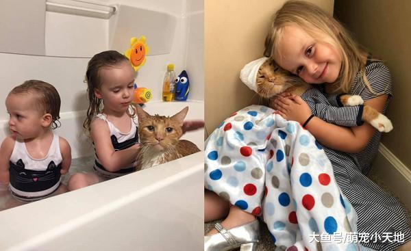 4岁女童哄唱安眠曲紧拥14年家人, 老猫泛泪3小时后离世