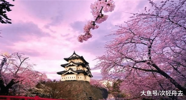 ＂日本的古玩市场是什么样子的，带你体验下日本的收藏文化＂