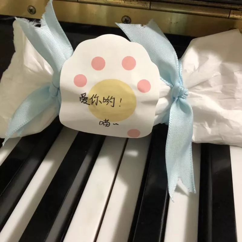 猫咪因为掉毛太多，主人不甘心去毛，竟然这样做