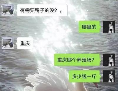 开心一刻：机长把空姐叫到播音室，忘关话筒，听他说：我们…