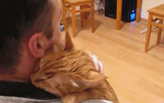 什么！？爱猫的我竟然是犬系的？