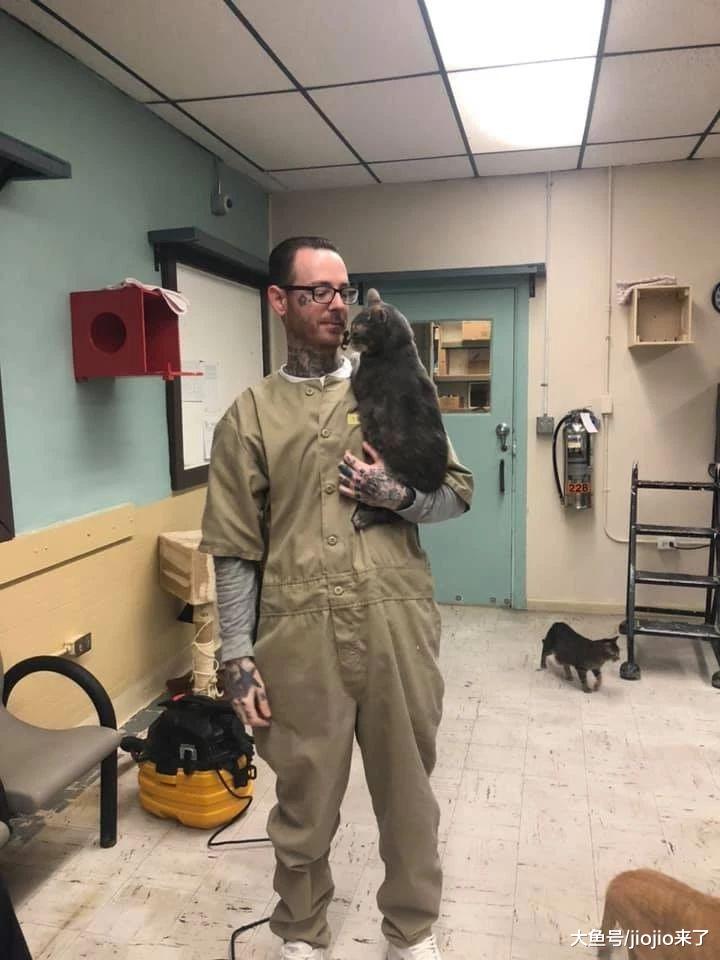 撸猫好处多！美国监狱正在用猫来治疗囚犯们的心理问题……