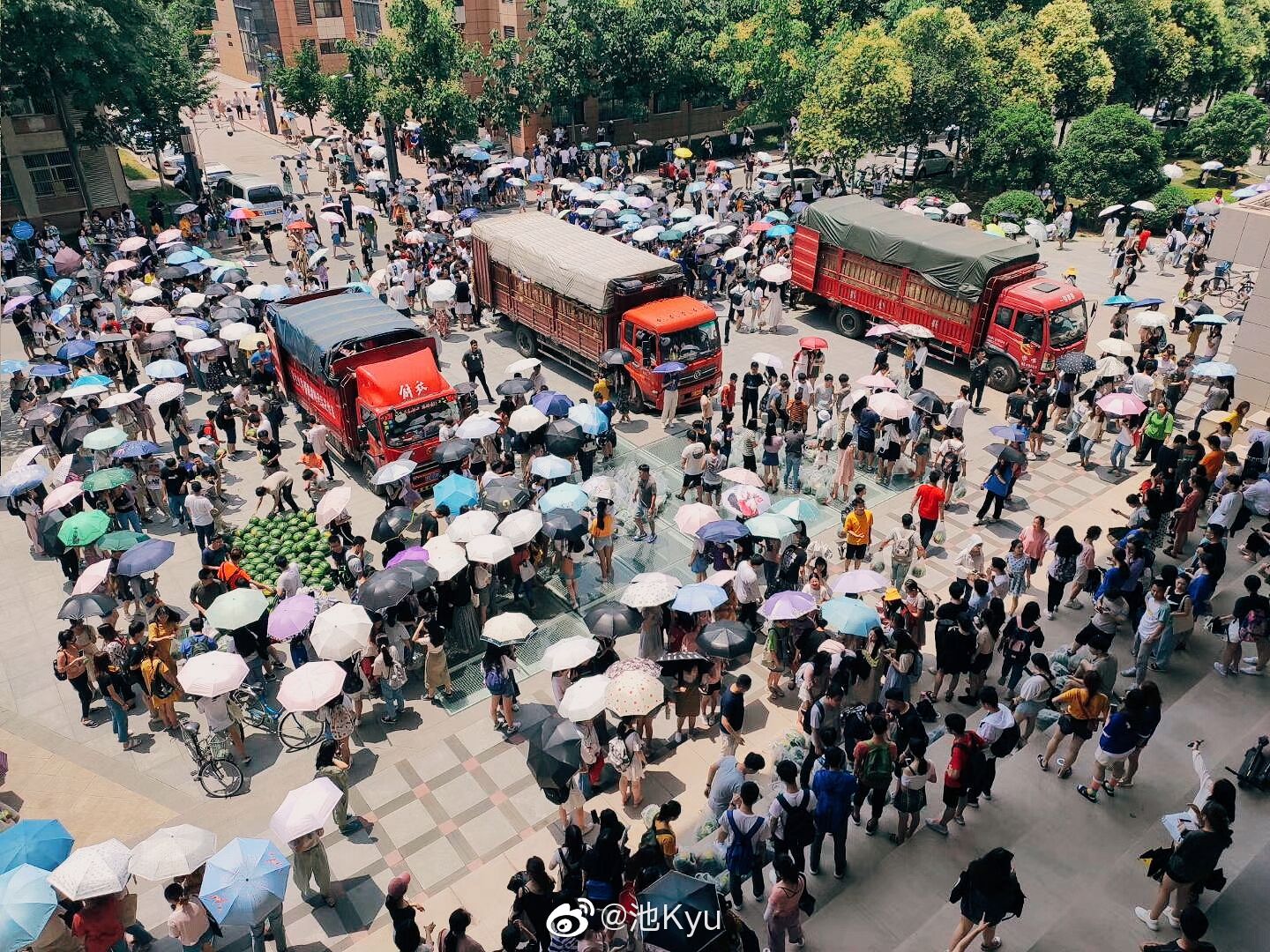 学校为18000名学生发放5000个西瓜，邀请全校一起吃瓜